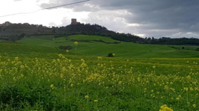 La Casa del susino